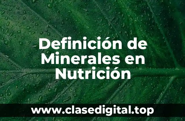 Definición Técnica de Minerales en Nutrición