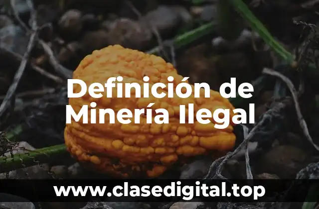 Definición de Minería Ilegal