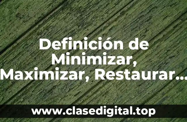 Definición Técnica de Minimizar y Maximizar