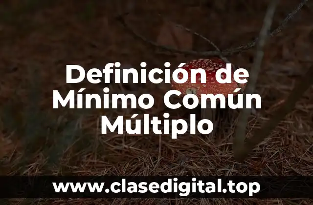 Definición de Mínimo Común Múltiplo