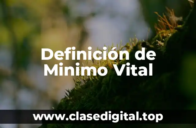 Definición de Minimo Vital