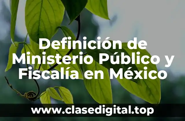Definición de Ministerio Público y Fiscalía en México