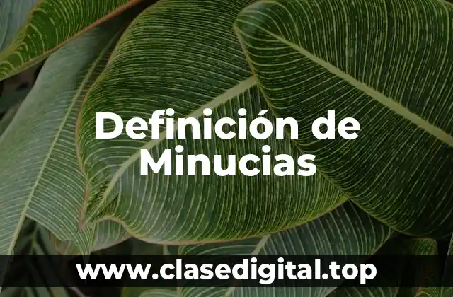 Definición de Minucias