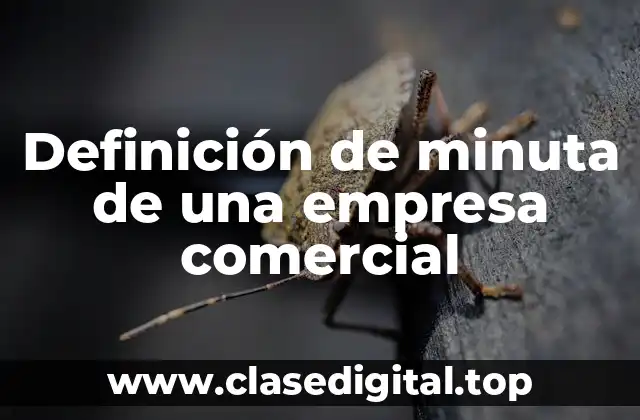 Definición de minuta de una empresa comercial