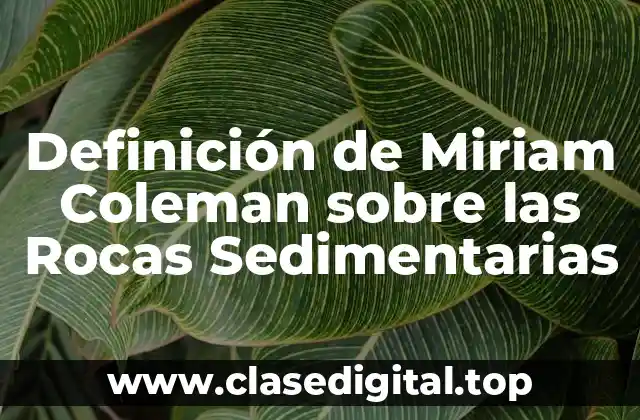Definición de Miriam Coleman sobre las Rocas Sedimentarias