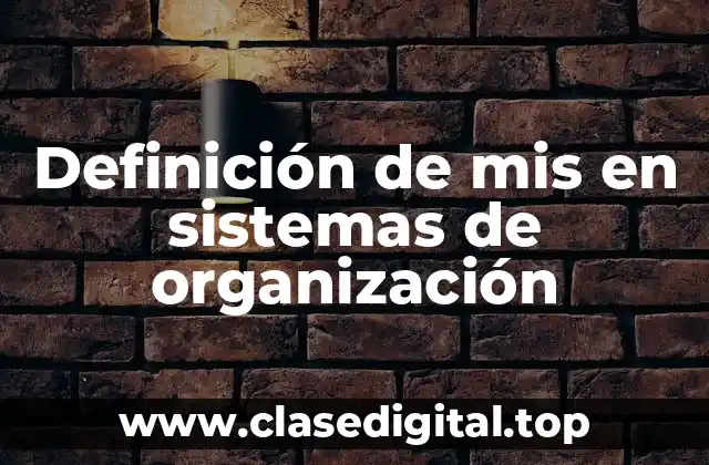 Definición de mis en sistemas de organización