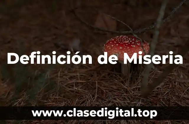 Definición de Miseria