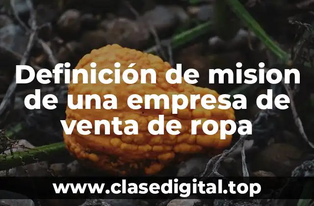 Definición de mision de una empresa de venta de ropa