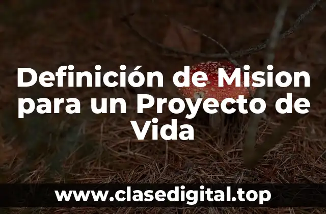 Definición técnica de Mision para un Proyecto de Vida