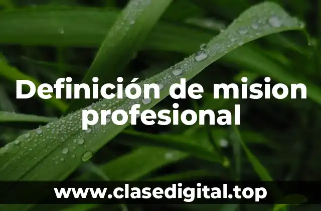 Definición de mision profesional