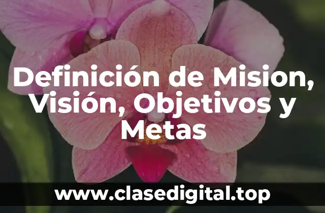 Definición de Mision, Visión, Objetivos y Metas