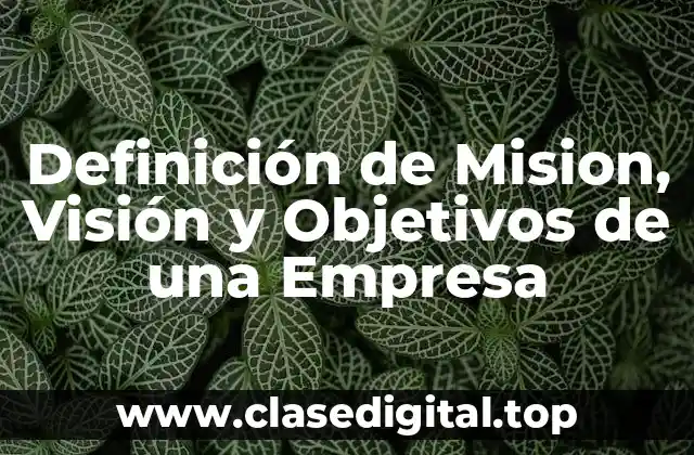 Definición de Mision, Visión y Objetivos de una Empresa
