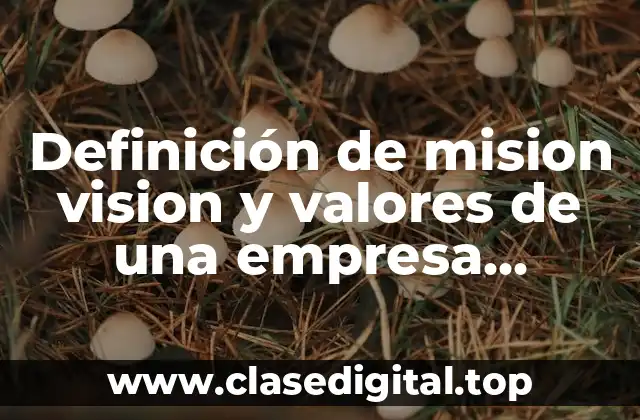 Definición de mision vision y valores de una empresa hotelera