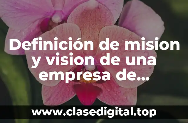 Definición de mision y vision de una empresa de mochilas