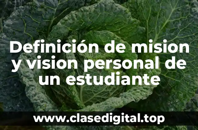 Definición de mision y vision personal de un estudiante