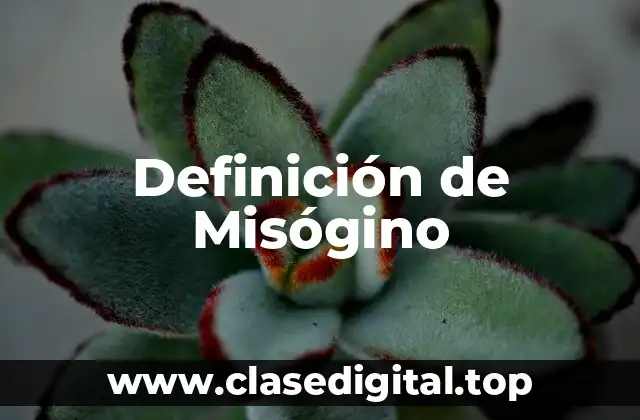 Definición técnica de Misógino
