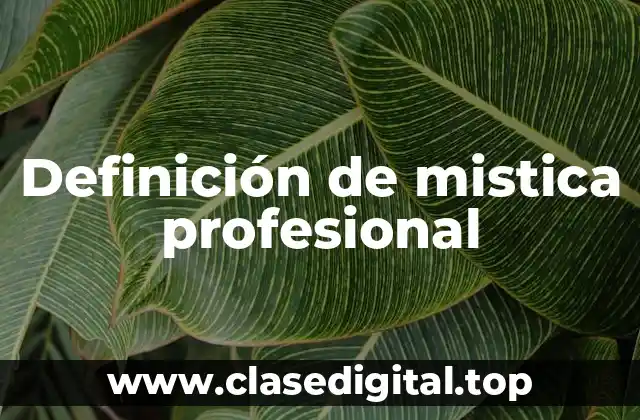 Definición de mistica profesional
