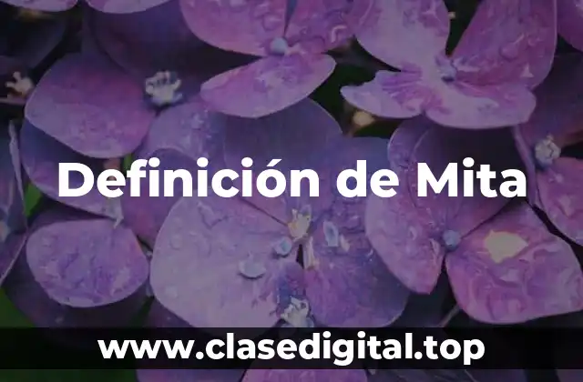 Definición de Mita