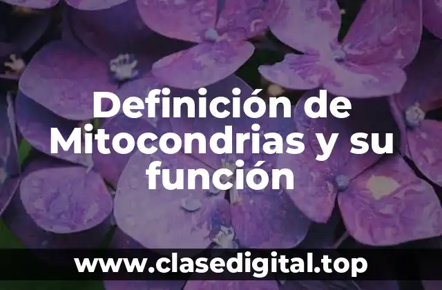 Definición de Mitocondrias y su función