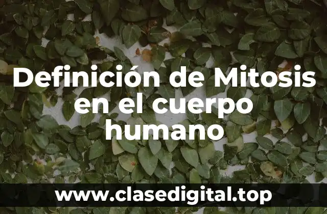 Definición de Mitosis en el cuerpo humano