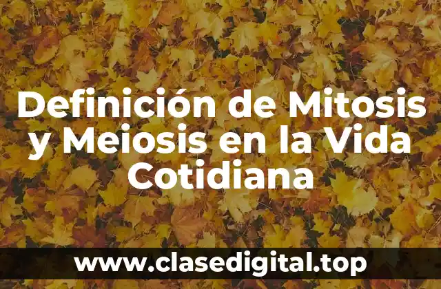 Definición de Mitosis y Meiosis en la Vida Cotidiana