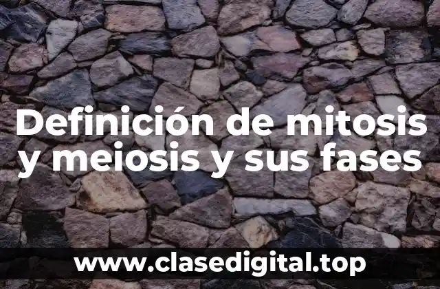 Definición de mitosis y meiosis y sus fases