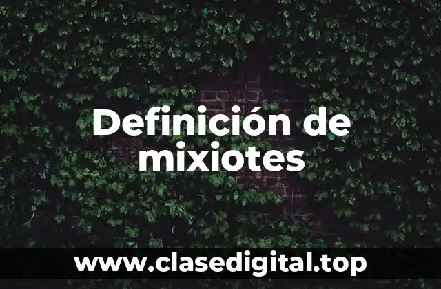 Definición de mixiotes