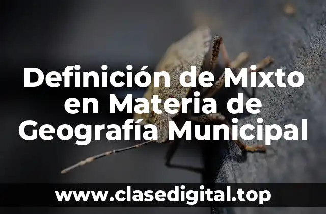 Definición de Mixto en Materia de Geografía Municipal