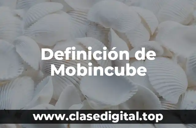 Definición de Mobincube