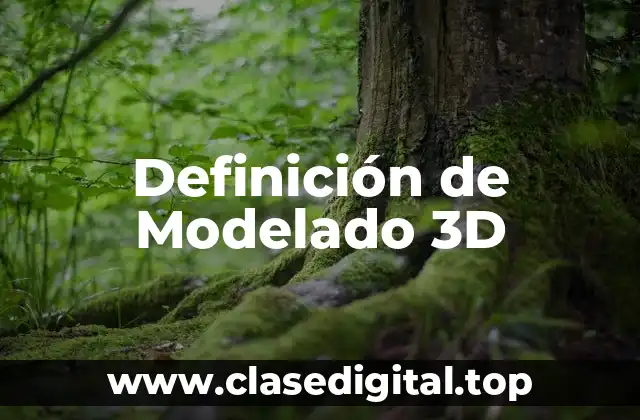 Definición de Modelado 3D