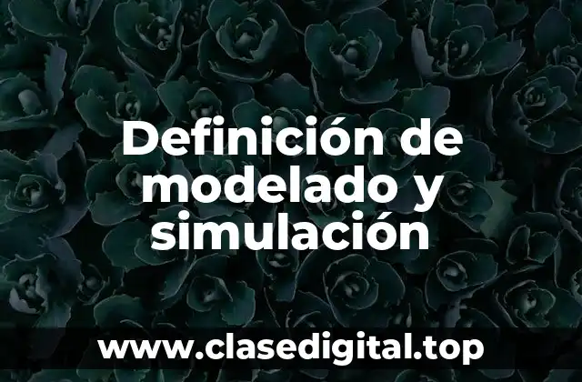 Definición de modelado y simulación