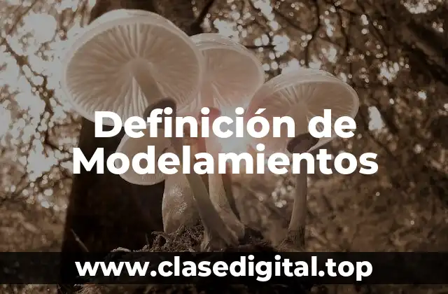 Definición de Modelamientos