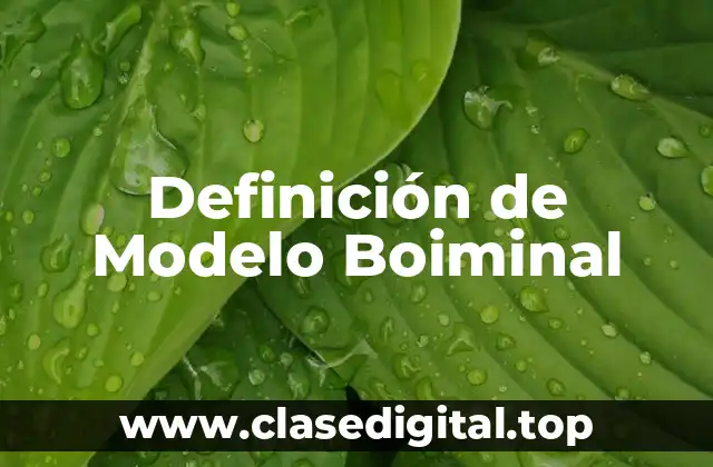 Definición de Modelo Boiminal