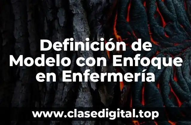 Definición de Modelo con Enfoque en Enfermería