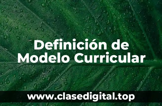 Definición técnica de Modelo Curricular