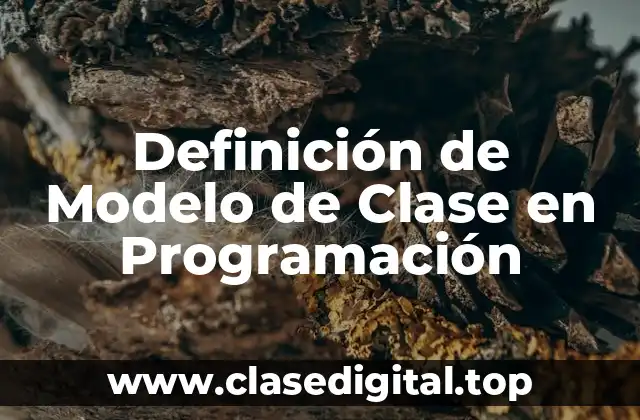 Definición de Modelo de Clase en Programación