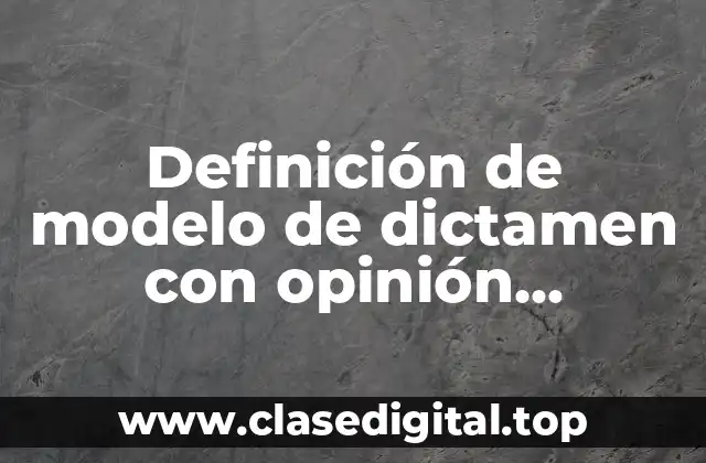 Definición de modelo de dictamen con opinión favorable