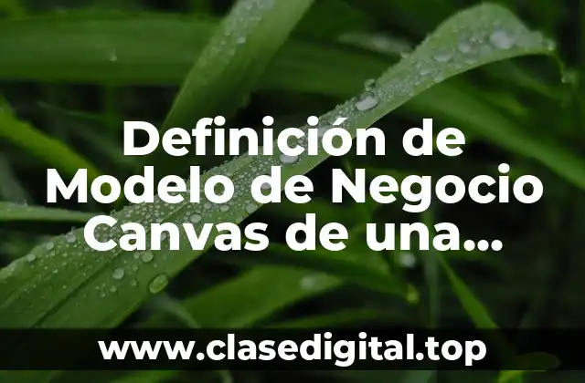 Ejemplos de Modelo de Negocio Canvas