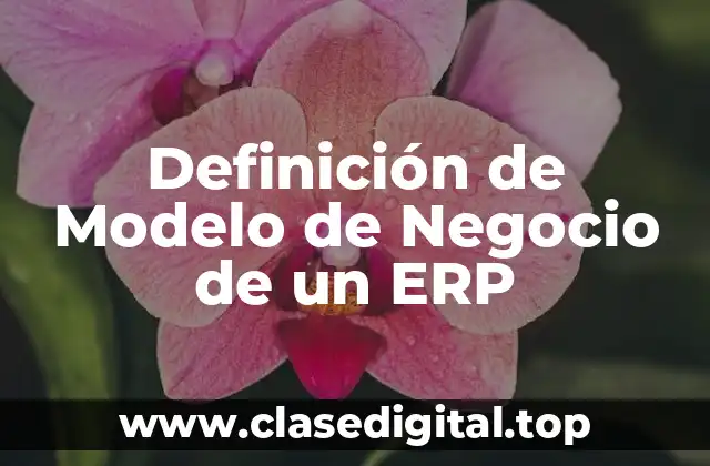 Definición de Modelo de Negocio de un ERP