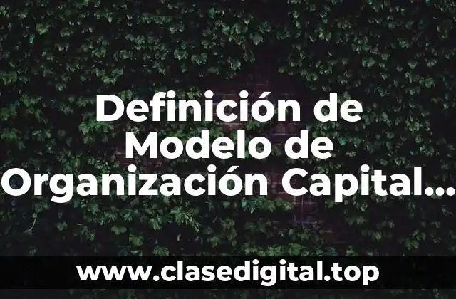 Definición de Modelo de Organización Capital Humano