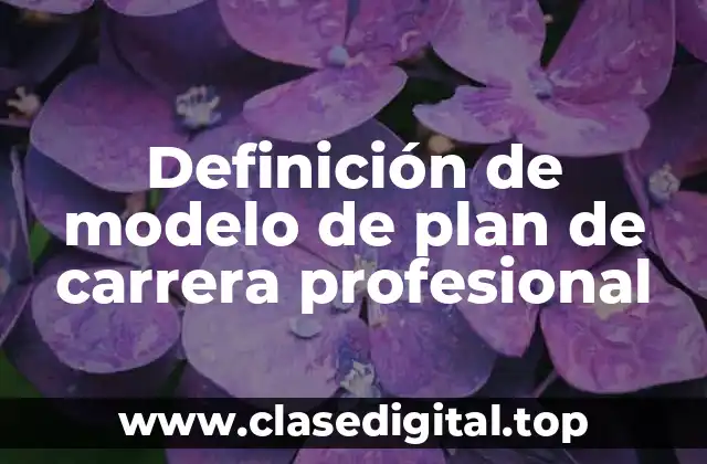 Ejemplos de modelos de plan de carrera profesional