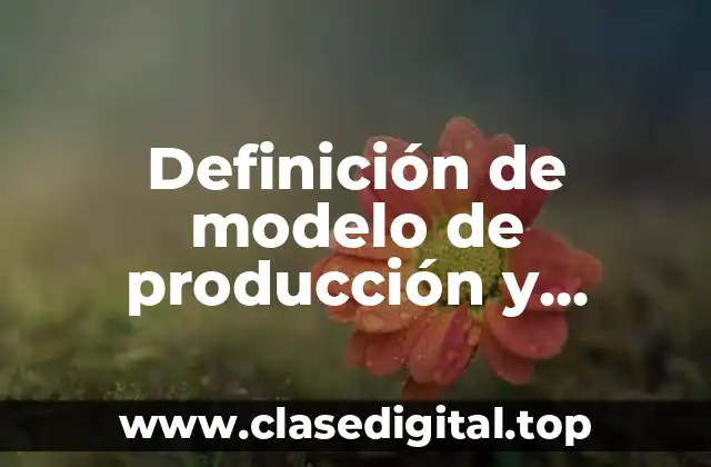 Definición de modelo de producción y consumo