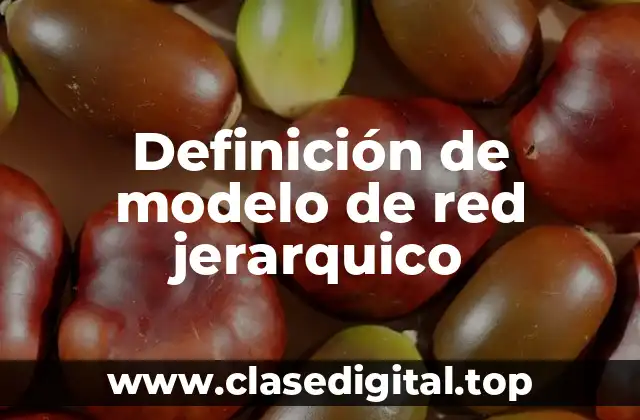 Definición de modelo de red jerarquico
