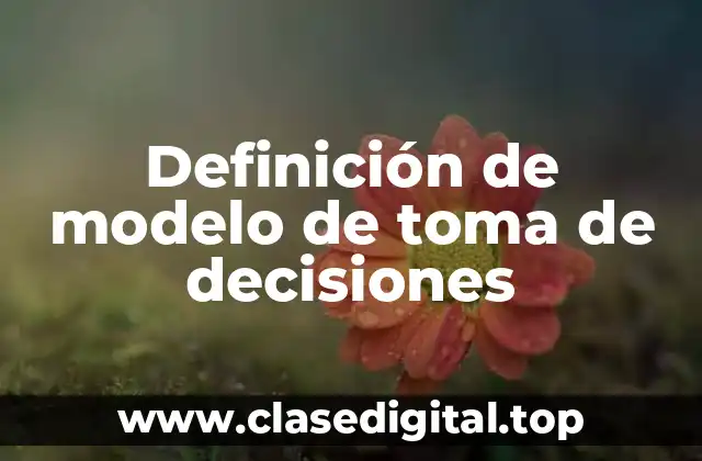 Definición de modelo de toma de decisiones