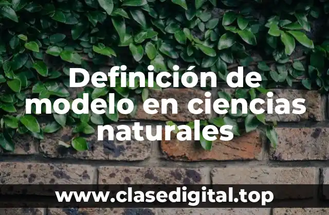 Definición de modelo en ciencias naturales