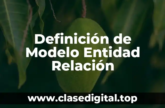 Definición técnica de Modelo Entidad Relación