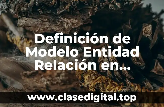 Definición de Modelo Entidad Relación en Informática