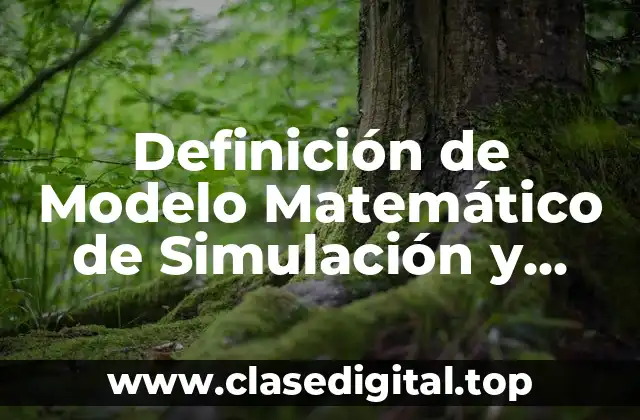 Definición de Modelo Matemático de Simulación y Heurístico