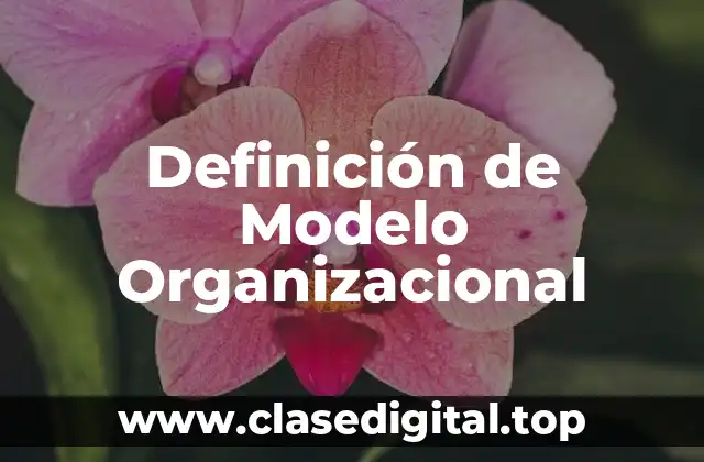 Definición de Modelo Organizacional
