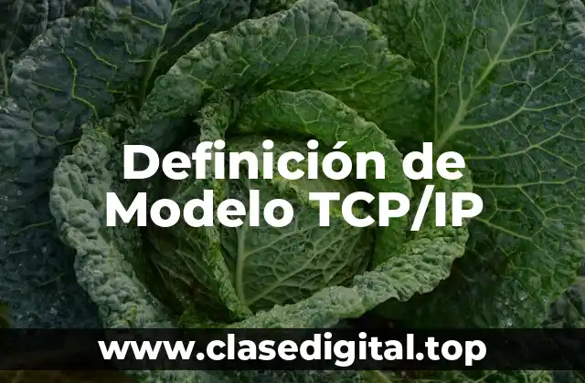 Definición de Modelo TCP/IP